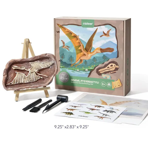 Setul micului arheolog „Revelarea Pterosaurului”