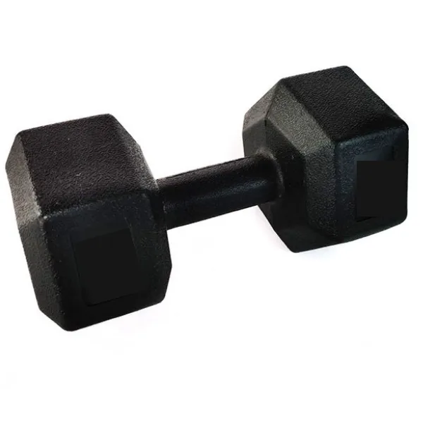 Cumpara  Fitness - Гексагональная гантель 1 * 10 кг..