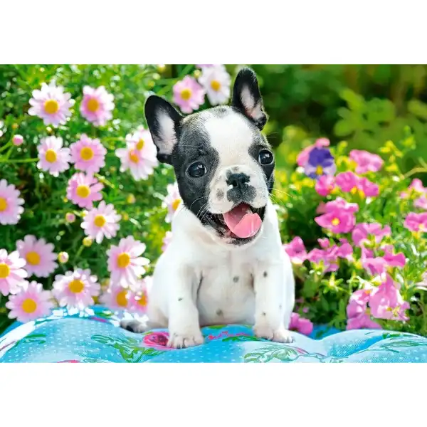 Puzzle 500 elemente