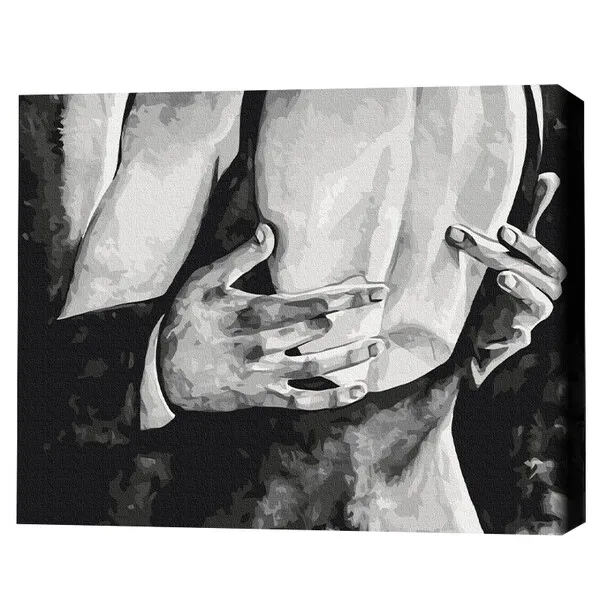 Pictură pe numere 40*50 cm (în cutie) – Limbajul corpului 5
