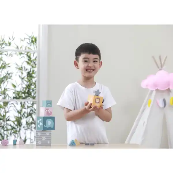 Деревянные кубики-пирамидка "Сортируем и складываем"