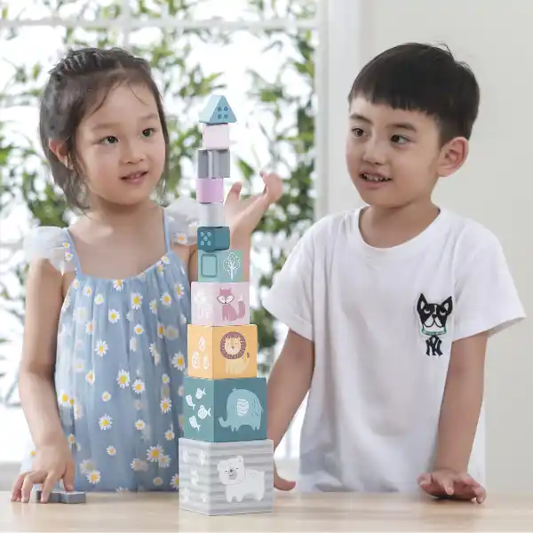 Деревянные кубики-пирамидка "Сортируем и складываем"