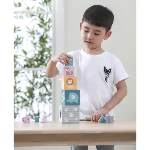 Деревянные кубики-пирамидка "Сортируем и складываем"