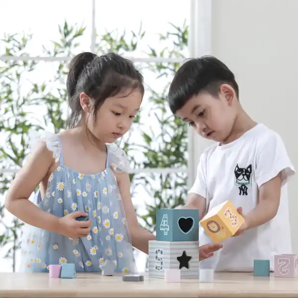 Деревянные кубики-пирамидка "Сортируем и складываем"