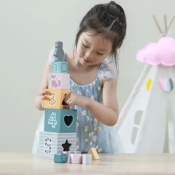 Деревянные кубики-пирамидка "Сортируем и складываем"