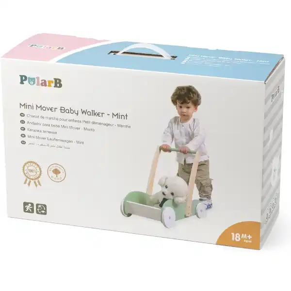 Ходунки-каталка и коляска 2 в 1, зеленый цвет