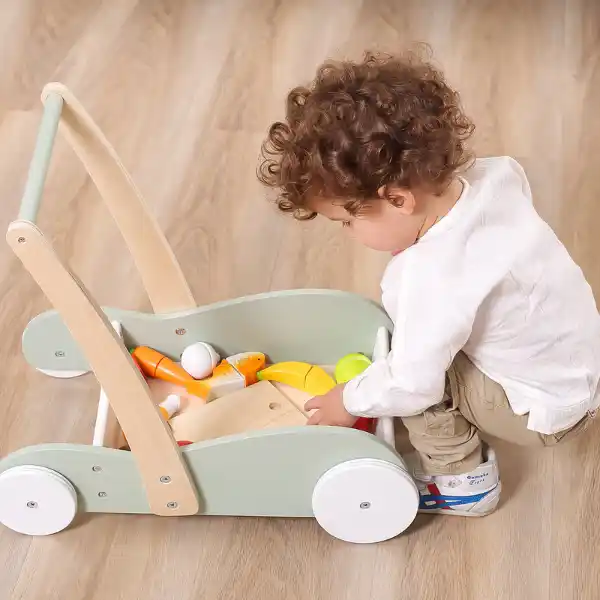 Ходунки-каталка и коляска 2 в 1, зеленый цвет