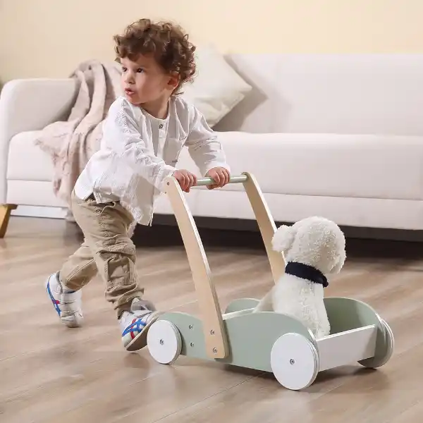 Ходунки-каталка и коляска 2 в 1, зеленый цвет