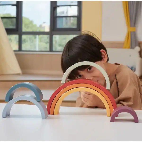 Развивающая игра-балансир "Радужная расстановка"