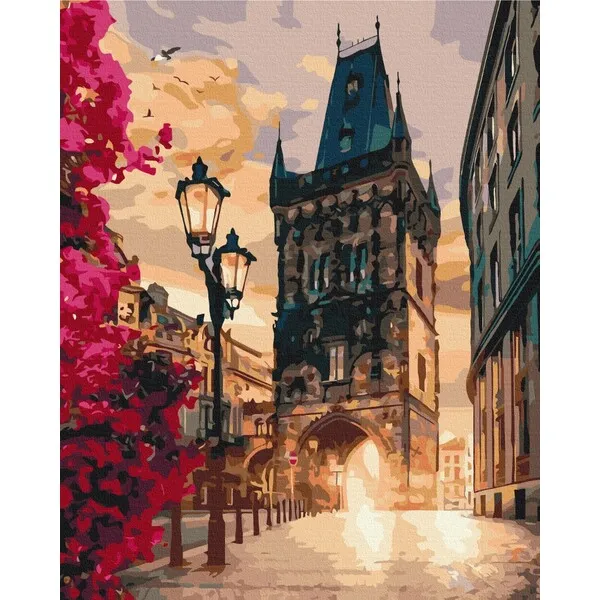 Pictură pe numere 40*50 cm (în cutie) – Praga