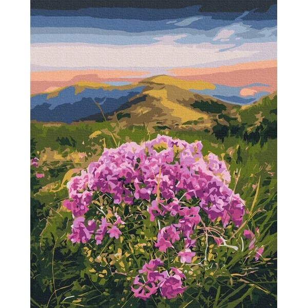 Pictură pe numere 40*50 cm (în cutie) – Floare de Carpați