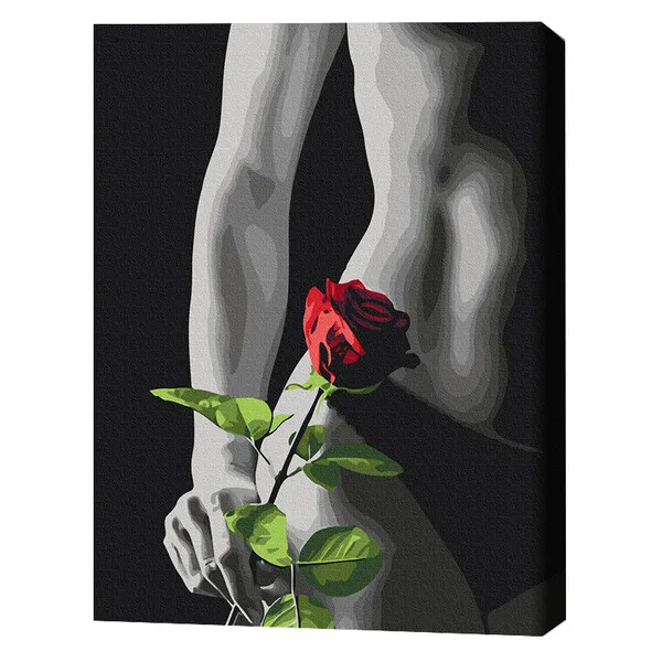 Pictură pe numere 40*50 cm (în cutie) – Accent elegant