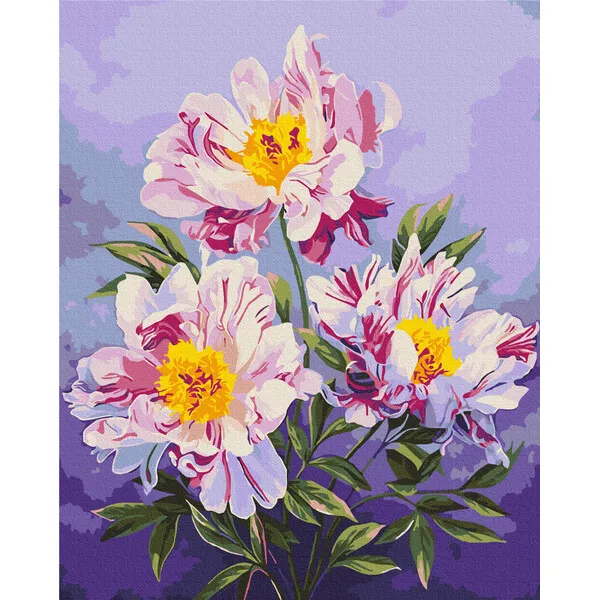 Pictură pe numere 40*50 сm (fără cutie) – Regatul bujorilor