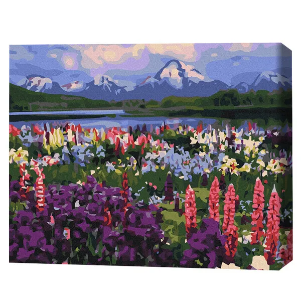 Pictură pe numere 40*50 сm (fără cutie) – Valea florilor de câmp