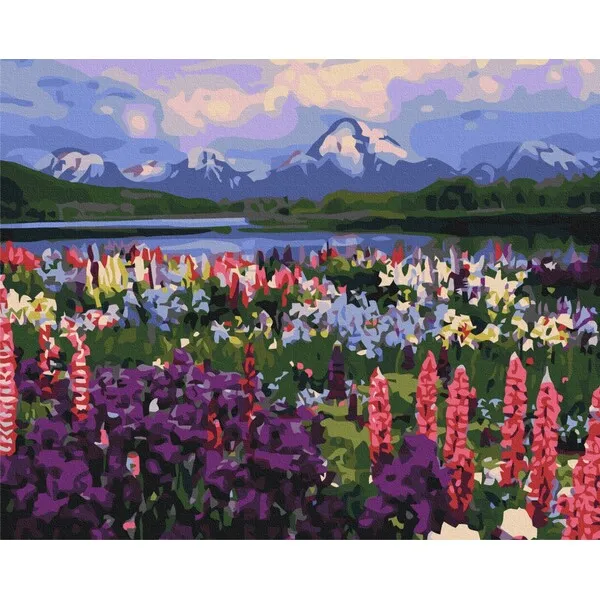 Pictură pe numere 40*50 сm (fără cutie) – Valea florilor de câmp