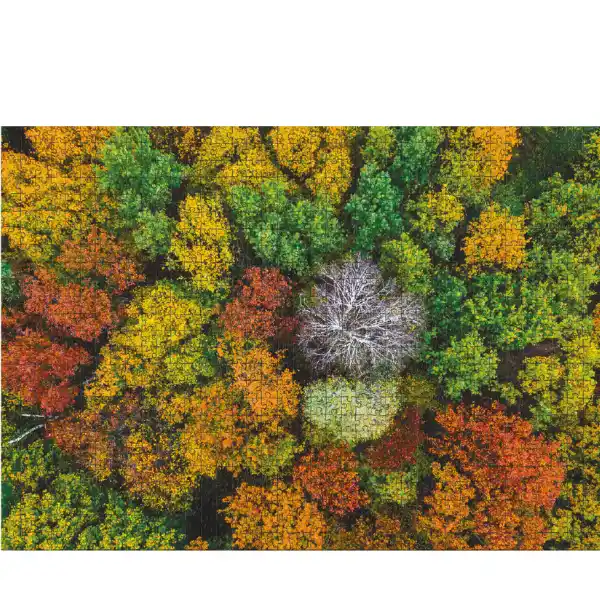 Puzzle „Satul Dzembronya. Ucraina”, seria Peisaje, 1000 elem.
