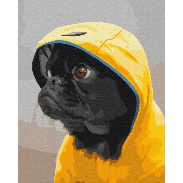 Pictură pe numere 40*50 cm (în cutie) – Pug în glugă