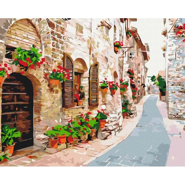 Pictură pe numere 40*50 cm (în cutie) – Strada în flori