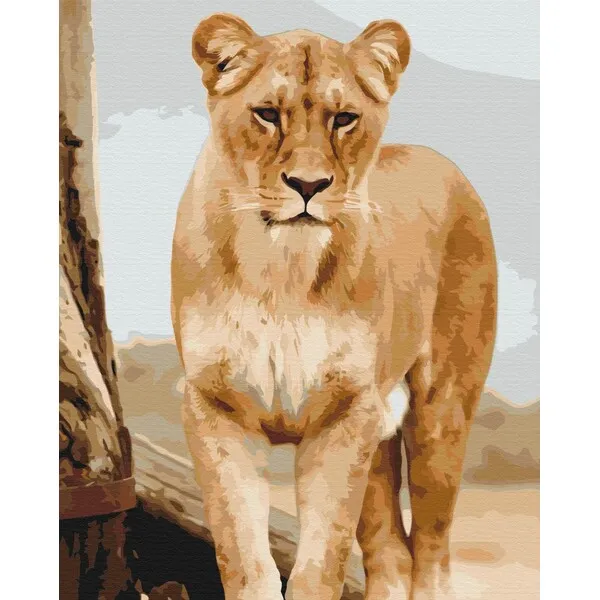 Pictură pe numere 40×50 cm (fără cutie)  –  Tânără leoaică
