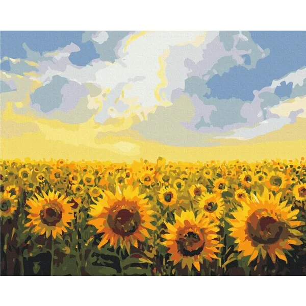Pictură pe numere 40×50 cm (fără cutie)  –  Câmp de floarea soarelui