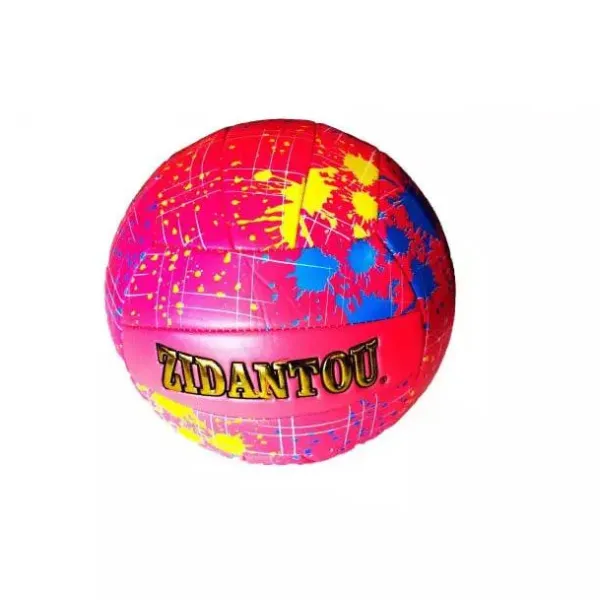 Minge de volei P1005