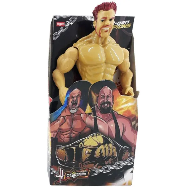 Superstaruri Wrestling: Set de campioni (24 buc.)
