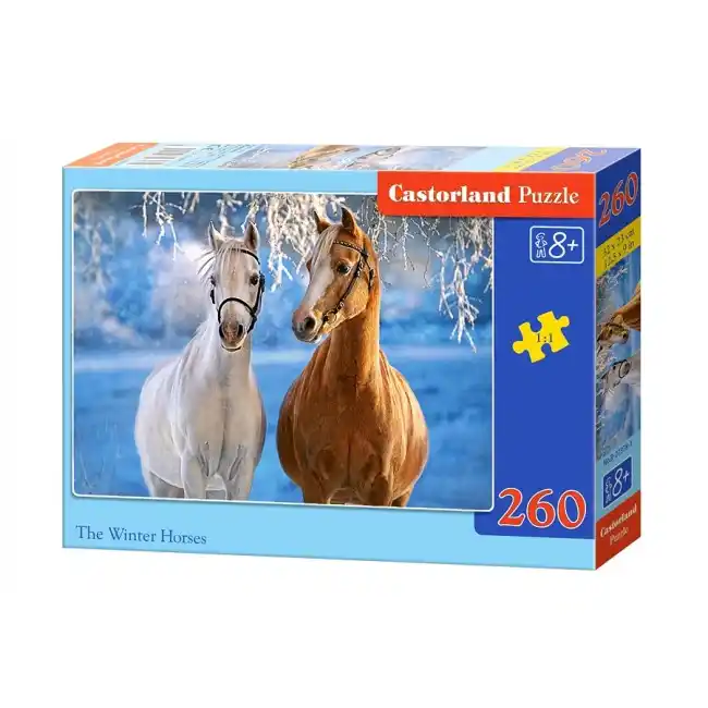 Puzzle 260 elemente