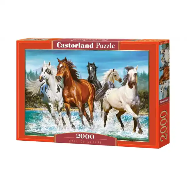 Puzzle 2000 elemente