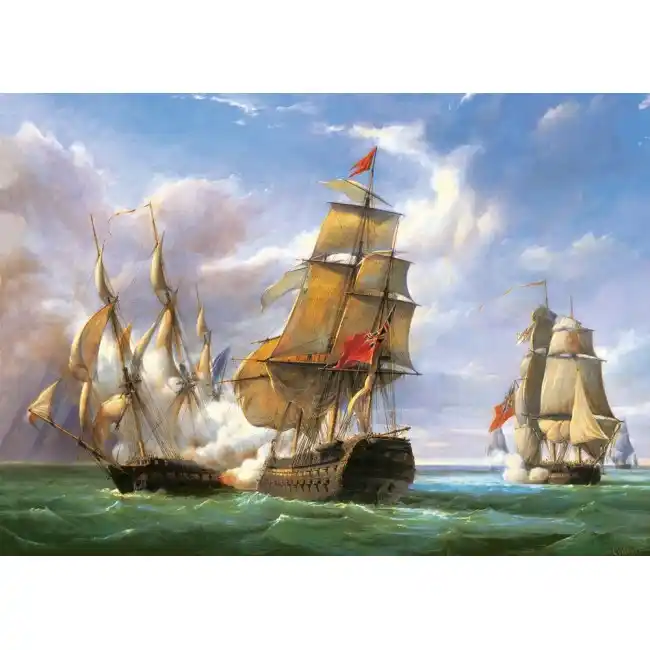 Puzzle 3000 elemente