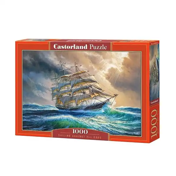 Puzzle 1000 elemente