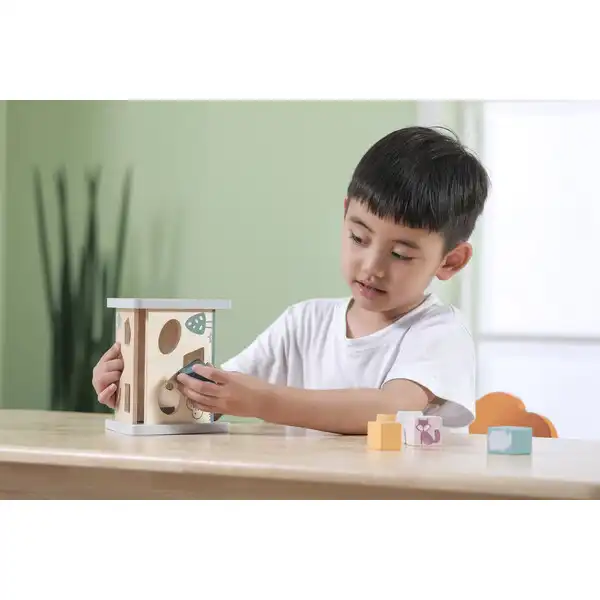 Сортер "Домик"