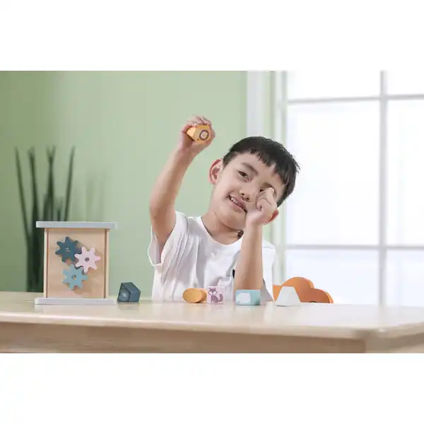 Сортер "Домик"