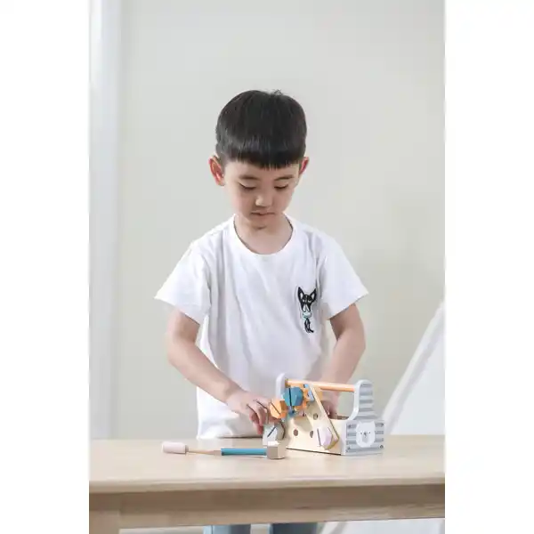 Set de joc „Instrumente”