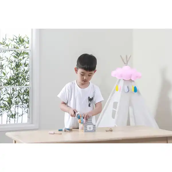 Set de joc „Instrumente”