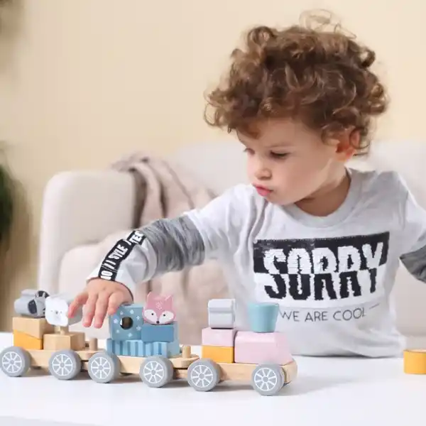 Сортер “Паровозик зверят”