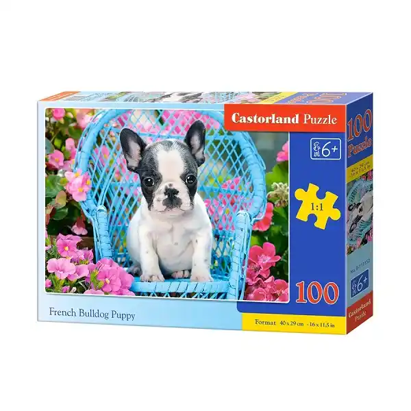 Puzzle 100 elemente