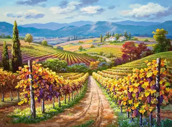 Puzzle 3000 elemente
