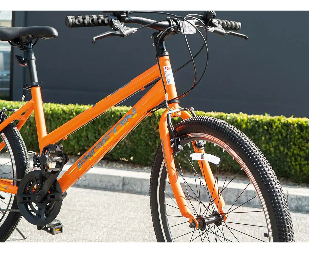 Bicicletă PIGEON 24" NB004