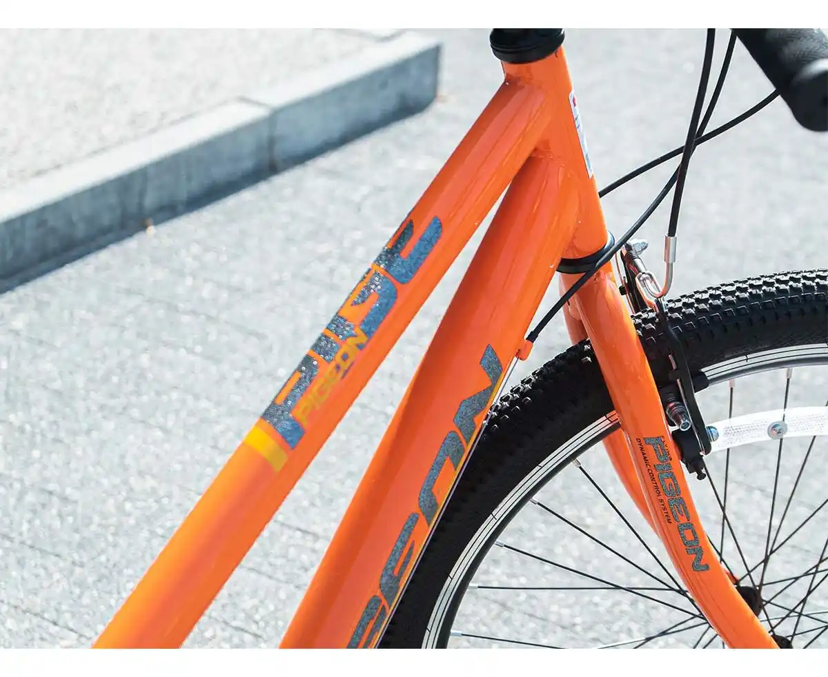 Bicicletă PIGEON 24" NB004