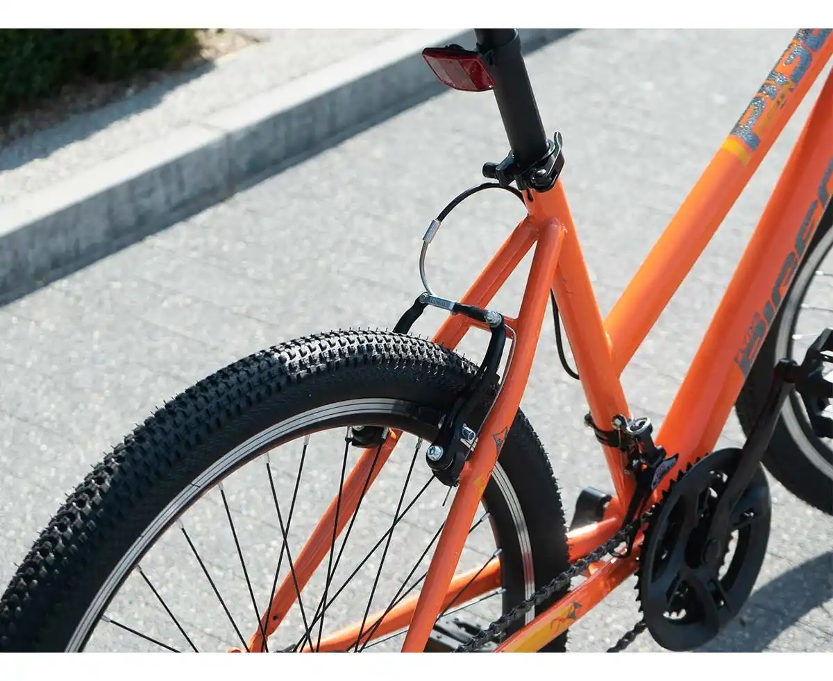 Bicicletă PIGEON 24" NB004