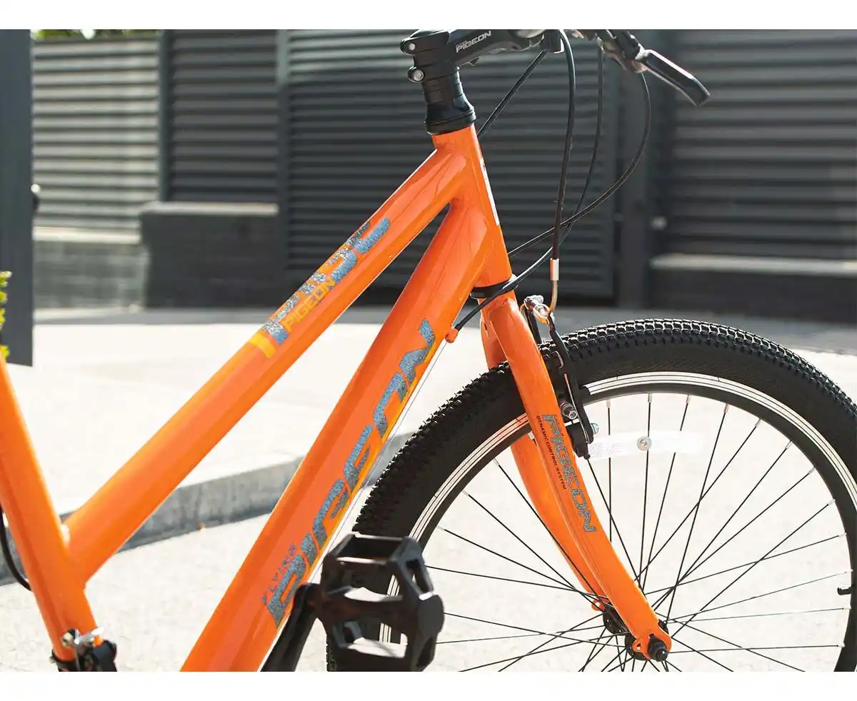 Bicicletă PIGEON 24" NB004