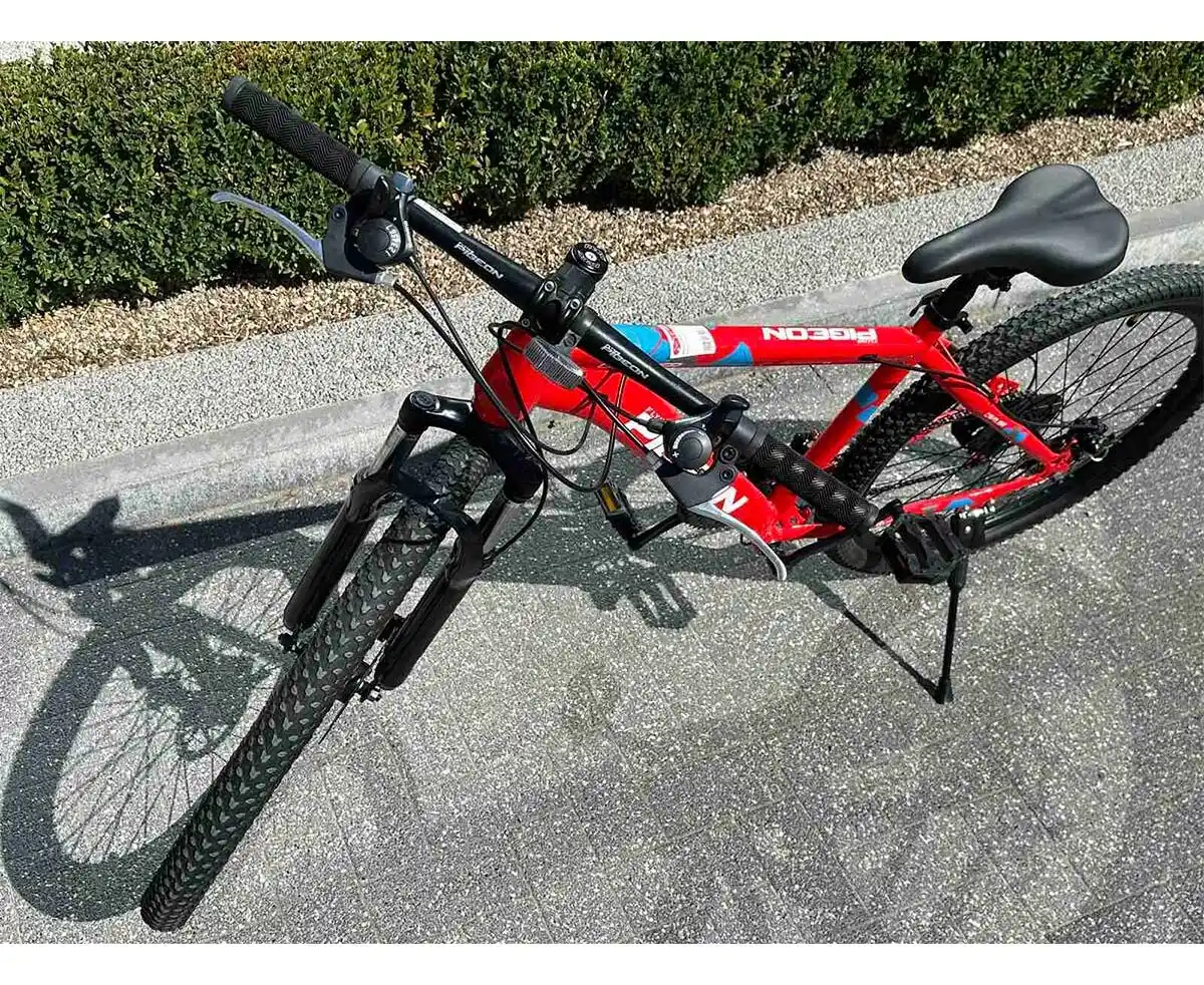 Bicicletă PIGEON 26" SFD011