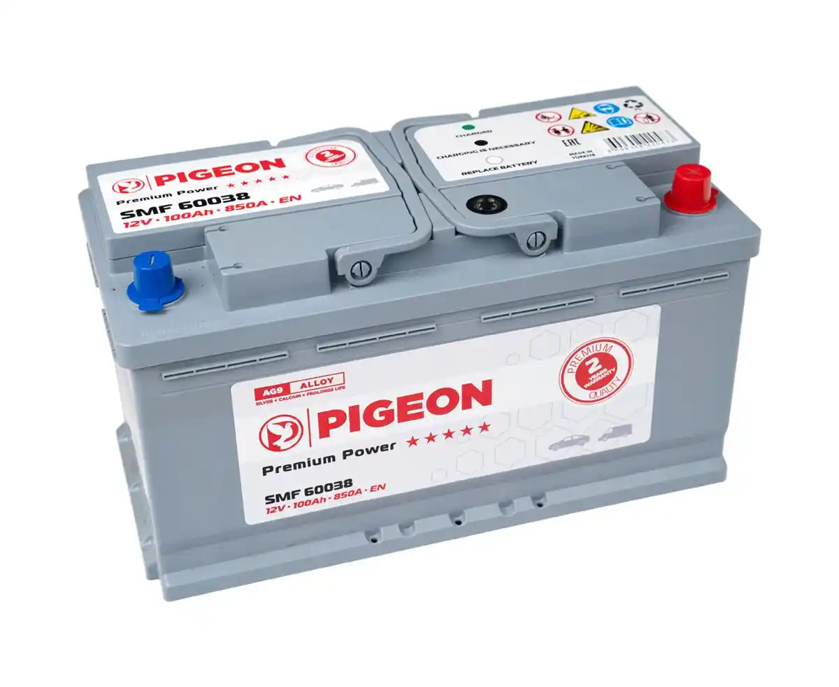 PIGEON SMF 60038 12V 100Ah 850A