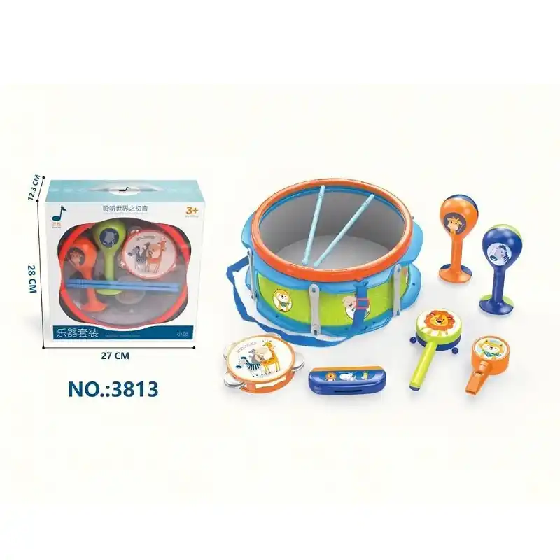 Set instrumente muzicale