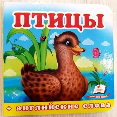Окружающий мир - Птицы