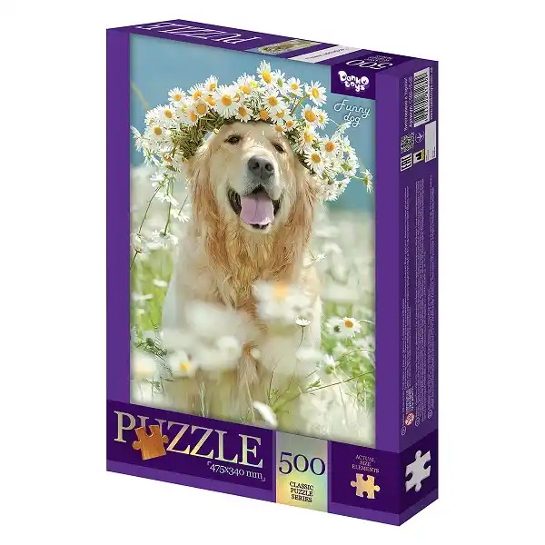 Puzzle C500-15-12
