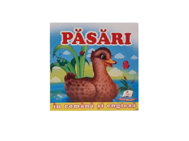 Primele notiuni - Pasari