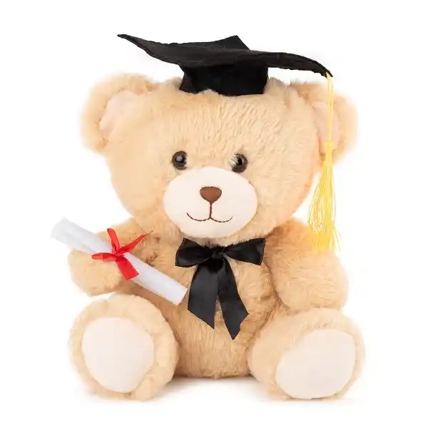 Мягкая игрушка Медведь-выпускник  25 cm - 0.16 kg