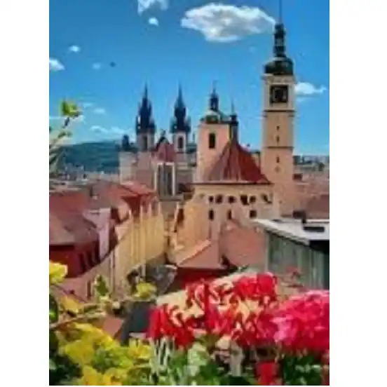 Diamond mosaic Praga (50*65)