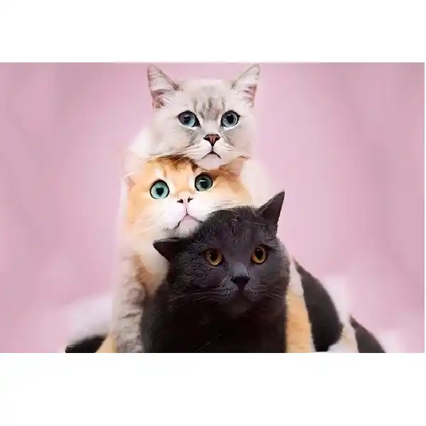 Diamond mosaic Pisici (20*30)